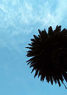 2019-07-09/dfa9b49999a0aff991b003fd8aecb20f_f8bab1a64a37a2c439e6e151b6765dc4