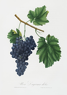 2019-07-10/094f256bac9c2619563160742869d4ec_04c8d63de697ab6288a410de1a3daed4