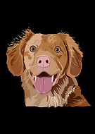 2019-07-10/6b7c66c66899426d39dd46626656b2ce_358dbb0d695de8e0786aa27c193c217e