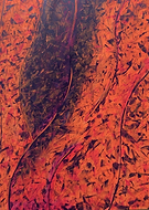 2019-07-10/ea5bd92fdd2c3cbe2ae92e08cfee7168_851445c35f1df04740347749b70081d2