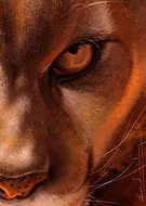 2019-07-11/182b731de5414a135c274ef20610aa72_6ebdbce69886d6dc3063aed10945b766