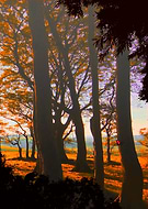 2019-07-11/5cd5f709cd808a1584b3e27fca7f6543_0a426c92d2d804566f647724af711210