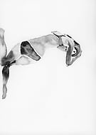 2019-07-11/f15a5eb939ed767a619c304a48734972_032c71027c06efebcf2d9d4e3837e2f9