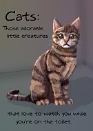 2019-07-12/a497bed8d5963b1b6e3a100c8c579773_4c5b41d37fdbd74852a0169292c8398f