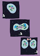 2019-07-14/276e2928a61b497a34ab9b88003148f1_2e2ba63f53a0cd1acb8ec46dd8d6ea71