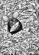 2019-07-14/7153acb77eb34a08c7a6462f094013c5_dbe7b9f509c69e75ba48d6eab33b0e00