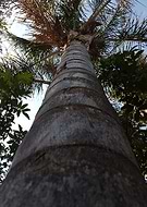 2019-07-14/73d86a9b5885fcc1f7f731f6923b102f_d3113a00eb56285da8319c66747f8367