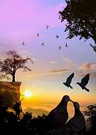 2019-07-14/8360951cbd5ce992b49d192bf7e9d986_820dd9612adf57ac6529c65d27322d31