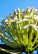 2019-07-15/023a37f357158e5af77891c4435021f7_b8f3251a6757c0dbca0ca4eca61d66c5