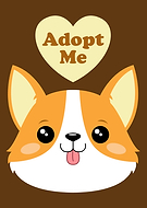 2019-07-15/06d7ee9505f41e0a8e8af9b4f032c618_852ac6ccabed537fa43b1413e185b878