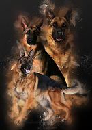 2019-07-15/389c2a1c960aad6d886de93bcd81d011_f23e747cc17c9ebb46cc9fa0cd900824