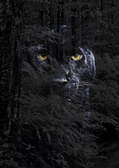 2019-07-15/9b39c2a8fc3eef122f78c79c2baefa3a_6c03cb140fb6f6c80c42f117b15b014b