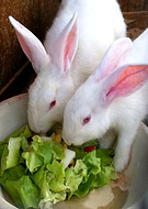 2019-07-16/19b32d2476d822b4f5fd35097130b5d1_dfd9b17cbedc28463b8c38d885c165be