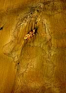 2019-07-17/991ce35fb7657599a525ebff3385bda1_c34fab2981baec4e1ac17c2c3a5c0c46