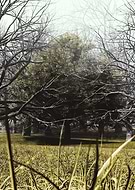 2019-07-18/e39874a9671655ad4a1fec4d5a366720_6da5f746cc88c837fa4f63f5399bc93b