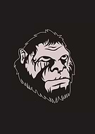 2019-07-19/7c762f38a274bc3198961546a68c622e_afbafb7a07b5ca80956a3039b3bcfcc5