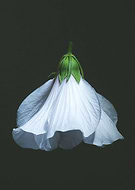 2019-07-20/95d6374fce4f63a12b64ac244e5ec8d5_0297532502a84153bf5ca2d1ce33f9e4