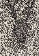 2019-07-21/e0e54162464780c573290600d87ff38e_4c5bbbf2fd3f706cc7532ac8a3949617