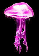 2019-07-22/c35633d09bffb4d86246f687dfa1d2e6_1a59a83aca82dca7d6f3fc4228d2f939