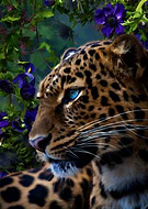 2019-07-22/f53b631bf3392eacb719016c1c01d7a6_a862943ff1e1e7222f0eab6dcde57951