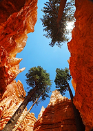 2019-07-22/fd73002f059587c1ca5fdfb41bf35e1a_adf75f23dd56816dc1d80ebec9e7380d