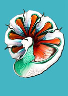 2019-07-26/9d3c2bec91d6de8a4bc18b1403e6d743_24a5e49846a1c1c15ded43ac86f378a1