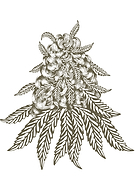 2019-07-27/dd92a64fd8476b1b93f8d960f0486a01_b3a4f858864b0d2ca285de64e5bf2518