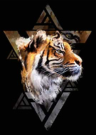 2019-07-27/e7bda34c833cdd0f33d7a5215fad38cb_8c75cc6d48e1229563f2b273ca1fc7f8