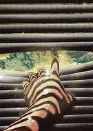 2019-07-29/41a0a0e0c8af2a03f3ff42d2dfc62bc5_6f8cd75dbbca4633fdd77d894cf7e251