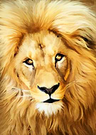 2019-07-29/a0bb0366c48a931c45ef6064b6f53433_e0b9b65b7141bb4ee516cabd298d0b56