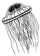 2019-07-29/bb36bd1e55a5b105cd62074939bfc10e_58690412b3ea384233c8e8beab20d1f9