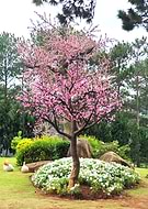 2019-07-30/03a580b4b59b61a181d15b48e97002af_e3e610b8a2a708c72ec10379927e6dc4