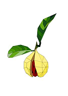 2019-07-30/18dfb84c548a7355d114ed7afd1534c6_0402a3b2f889bfc420981fefff6c476a