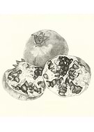 2019-07-30/6c5857a00cdc65501aad8dcb2d16cae7_f8746a15476d2bf85922f9fcd22800ee