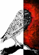 2019-07-30/936f221f0b309f0db59d61805c197c00_373b9eb407ed087c10fd2a2776bf48fb