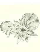 2019-07-30/9c2bb0d007a686095268ba1670b74107_07962468aa781df14c1dea3ed4141f83