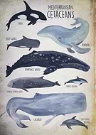 2019-07-30/f6ed12d6b9ae60afc67751c71fb87135_e386679821979a6b82dbf7bf852b5c8a