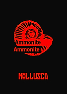 2019-08-02/d77d53dc25034db258881b073da77250_78a471d54cf84017a2d4cc59d63bbcf6