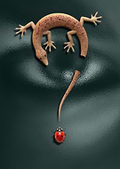 2019-08-04/de5603c4aed9cd2c125944156b33cd6f_5aab3b3716b85a5bcb50f622a68d836d