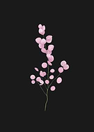 2019-08-05/90ef2c8de4bbf7716c0290d6c0ba281c_d20c8213a338a1262059b56682a549bb