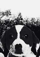 2019-08-05/9c5d98b8051d7f567c0840fe92696e7a_703cb075e404c225280c4b9a458394f2