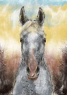 2019-08-05/aa3cd1739c42fc575685c0a7e6878b9f_84c1e3ff760b3133838d93b5b2a20222