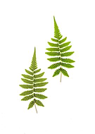 2019-08-05/e85c1db30d99e8701858e5a745bec1ba_f6f8875a8b83e9b54d547eb540fed848