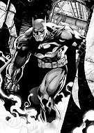 collection-preview-1