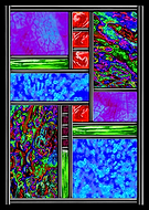 2019-08-06/11f9a1050c902214812fb641c1d6afcf_9afc464b1dc56586130bd097e2a2f51a