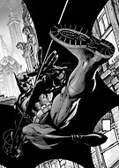 collection-preview-3