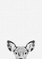 2019-08-06/8550cdea36b15dab3a9ce206726220ee_ae25d41046dc9defe370408ef985636e