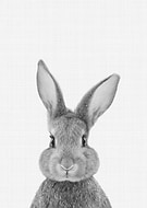 2019-08-06/9c892a55f574f51c3d929f568181b704_5356656540062168750ef0d6584b2293