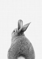 2019-08-06/c75e92365f0953008dfaec103b111d29_a3225e0f14025e89ab8300bcbc37a140