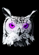 2019-08-07/83ad677a4836232c48600563bbf08c15_acf501ec6691d21be4b5c749e8389dc4